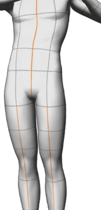 3D anatomical figure with grid lines for art reference.