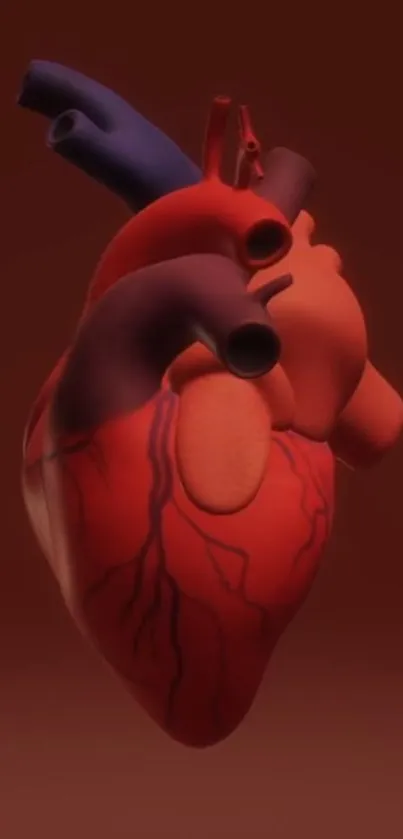 3D digital illustration of a human heart in dark red tones.