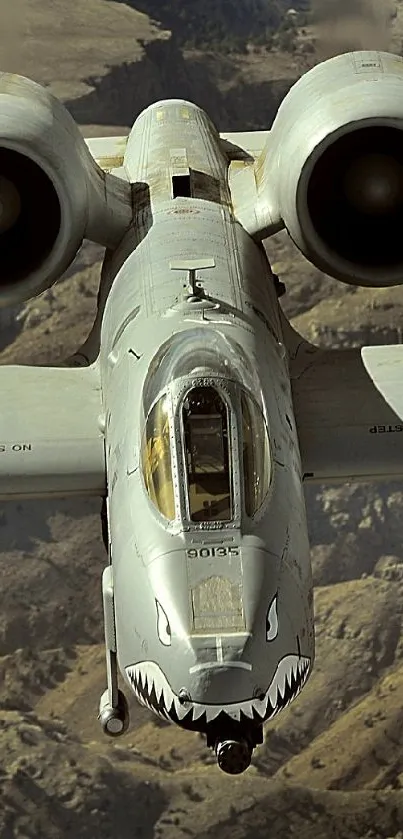 A-10 Warthog jet soaring above rugged terrain in dramatic flight.