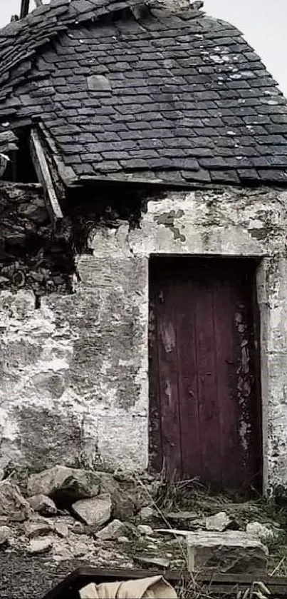 Abandoned stone cottage with old door in rural setting.