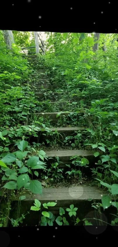 Wallpaper of overgrown stairs in a lush forest setting with green foliage.