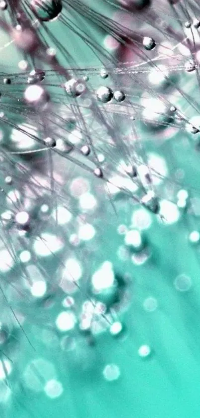 Abstract aqua bokeh wallpaper for phones with calming tones.