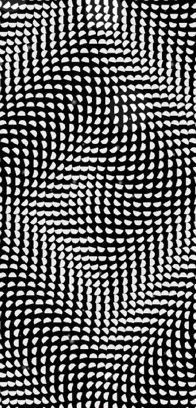 Abstract black and white geometric dot pattern wallpaper.