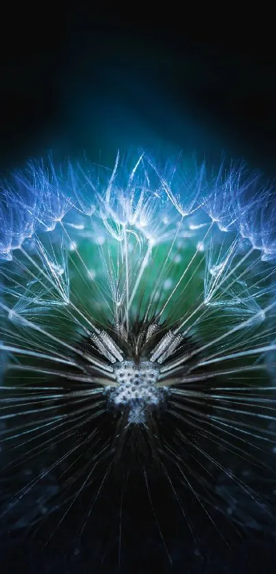 Abstract blue dandelion with glowing details against dark background.