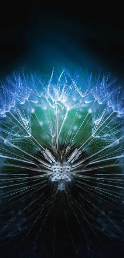 Abstract blue dandelion with intricate details on a dark background.