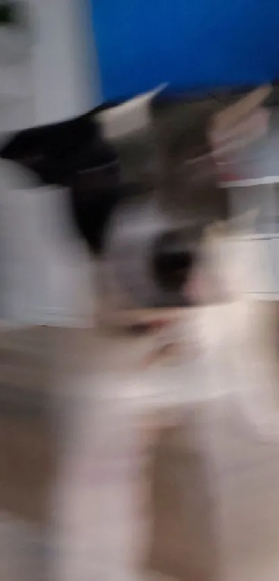 Abstract blur image of a dog as a mobile wallpaper.