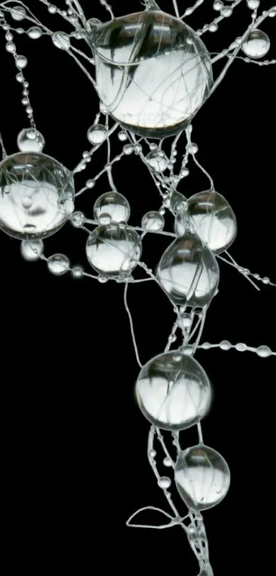 Abstract design with glass orbs on black background.