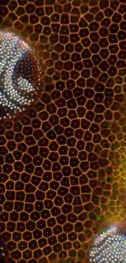 Abstract honeycomb pattern with vibrant textures.