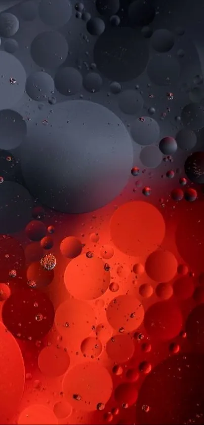 Abstract red and black bubble design wallpaper.