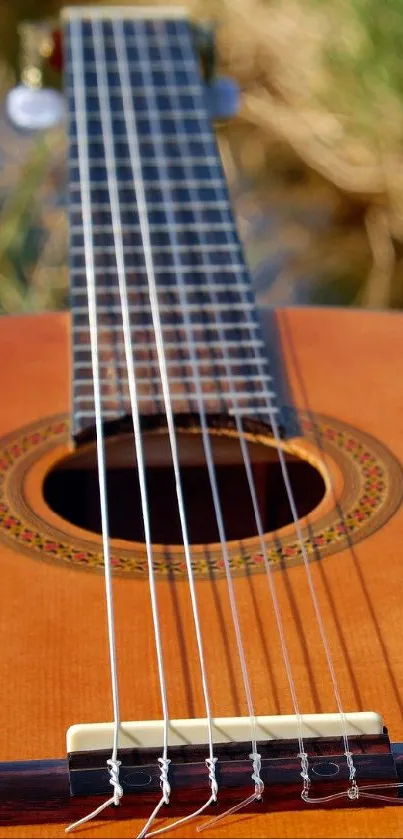 Acoustic guitar resting in natural setting with greenery around.