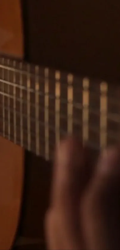 Closeup of acoustic guitar strings with warm lighting.