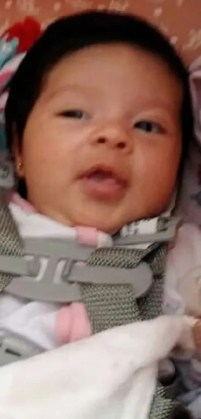 Adorable baby in a car seat with a terracotta background.