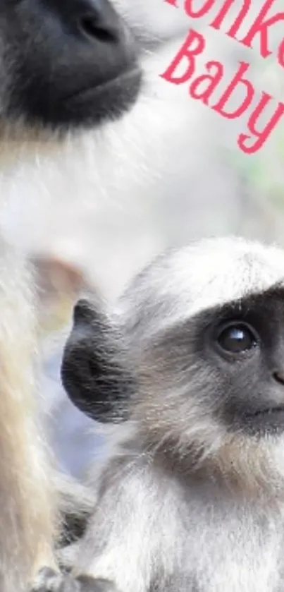 Adorable baby monkey looking curiously with soft fur.