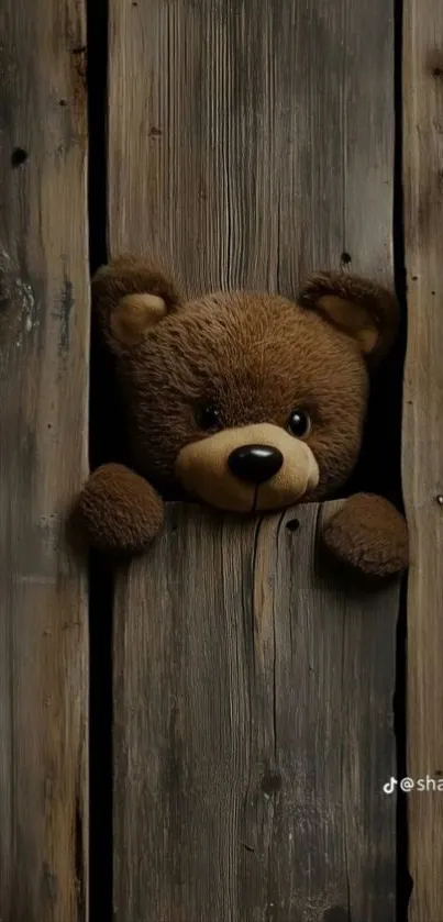 Teddy bear peeking through wooden slats.