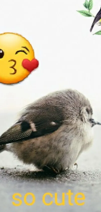 Cute bird with emoji on white background, text 'so cute'.