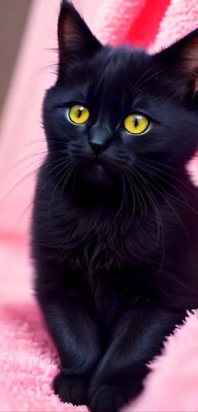 Black cat with yellow eyes on a pink blanket.