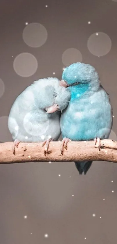 Adorable blue birds cuddling on a branch, perfect for mobile wallpaper.