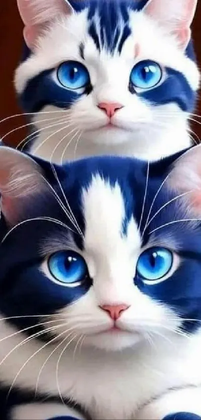 Two adorable blue-eyed cats with striking patterns.