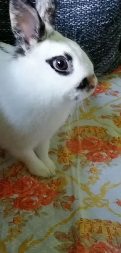 Adorable bunny on vibrant floral pattern wallpaper.