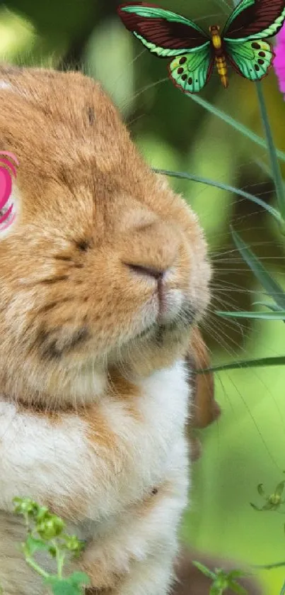 Cute bunny with heart near flower and butterfly in garden.