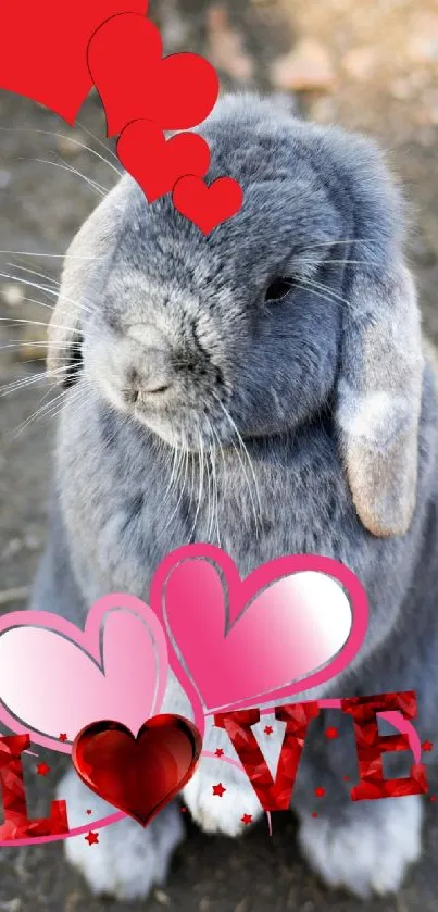 Gray rabbit with red and pink hearts, love theme wallpaper.