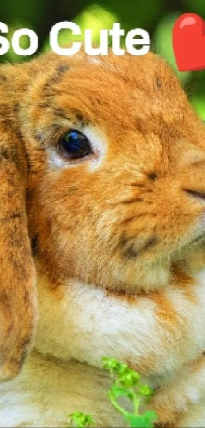 Adorable bunny with flower on green background, perfect for mobile wallpaper.