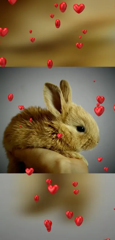 Fluffy bunny with floating red hearts on a mobile wallpaper.