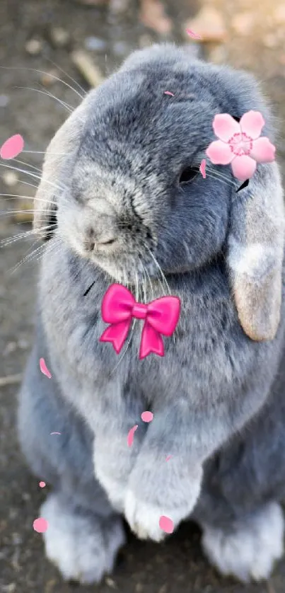 Adorable gray bunny with pink bow and flower accessories.