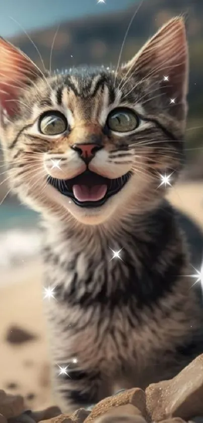 A joyful kitten on a sandy beach with rocks.