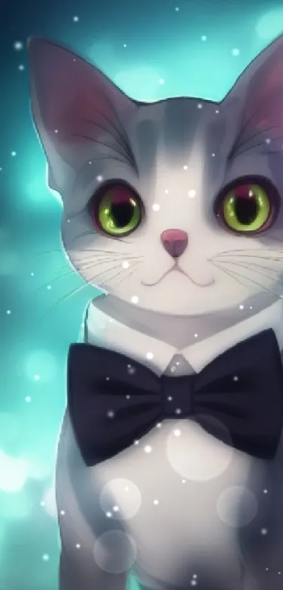 A cute cat in a tuxedo with an aqua blue background.