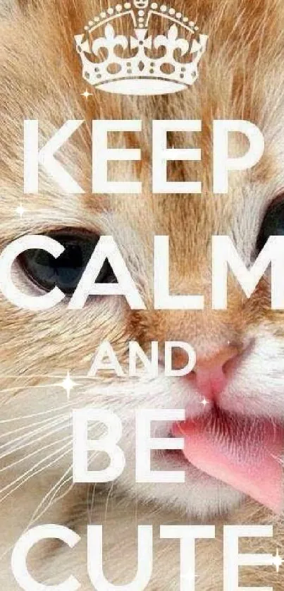 Cute kitten with 'Keep Calm and Be Cute' text for a motivational mobile wallpaper.