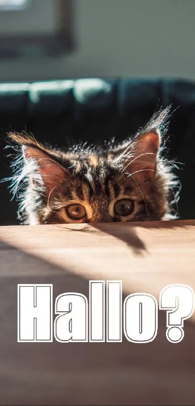 Adorable cat peeking over table with 'Hallo?' text