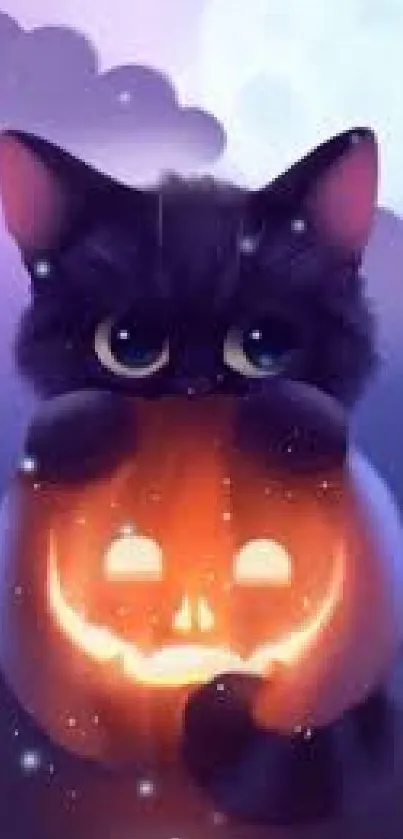 Cute black cat holding a glowing pumpkin in a mystical night setting.