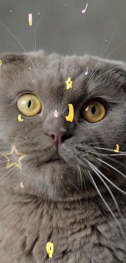 Grey cat with stars and yellow eyes in cute wallpaper.