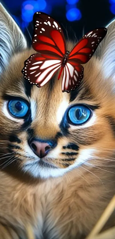 Cute kitten with blue eyes and red butterfly on head.