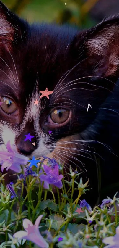 Charming cat with vibrant flowers and star accents in a captivating scene.