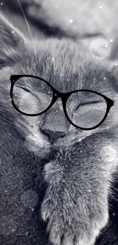 Adorable kitten in glasses, cozy and monochrome wallpaper.