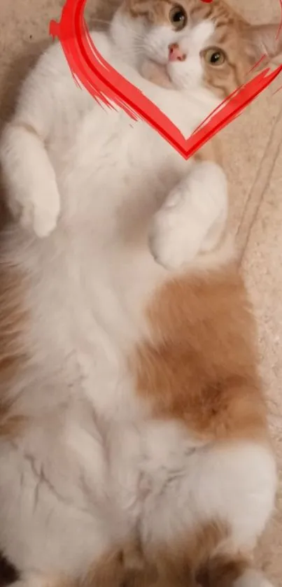 Adorable cat laying down with red heart frame on face.