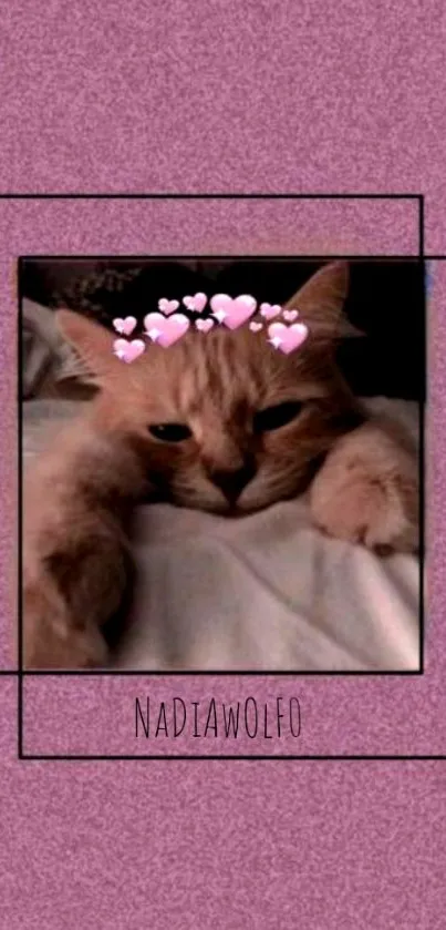 Cute cat with pink hearts on a textured dusty rose background.