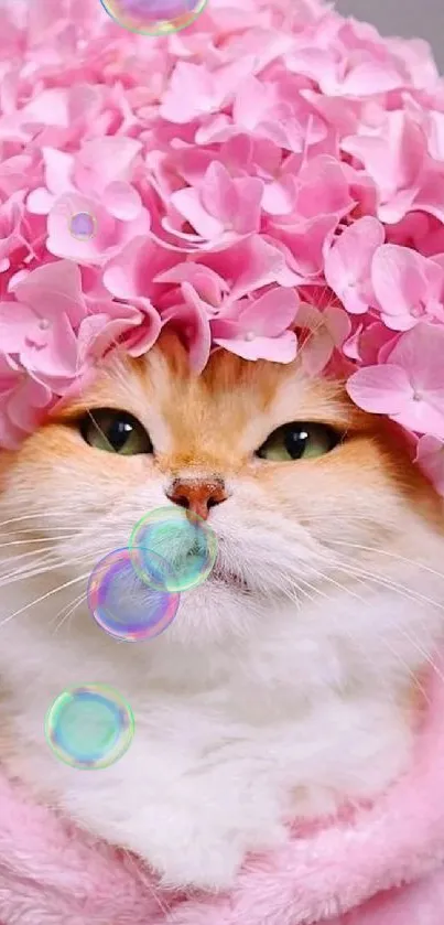 Adorable cat wearing a pink flower crown.