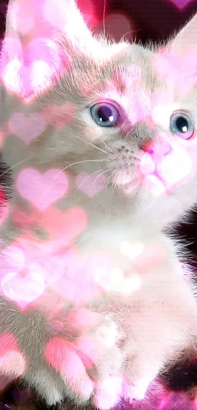 Adorable kitten with pink heart overlay.