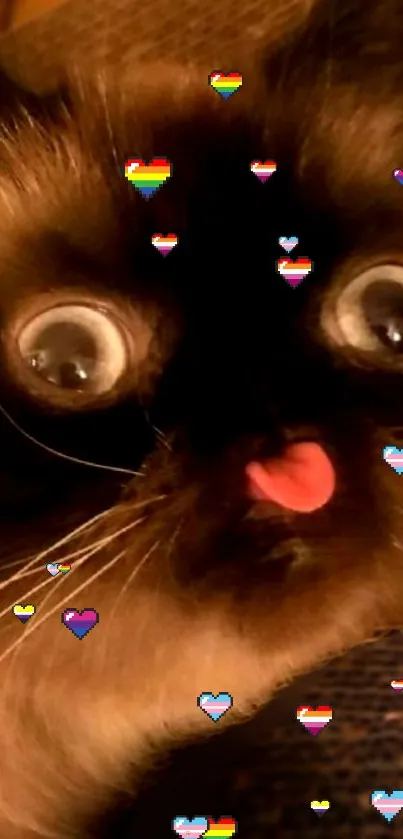 Cute cat with tongue out and rainbow heart decorations.