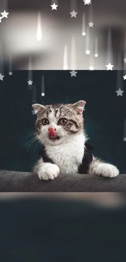 Adorable cat with stars in the background.