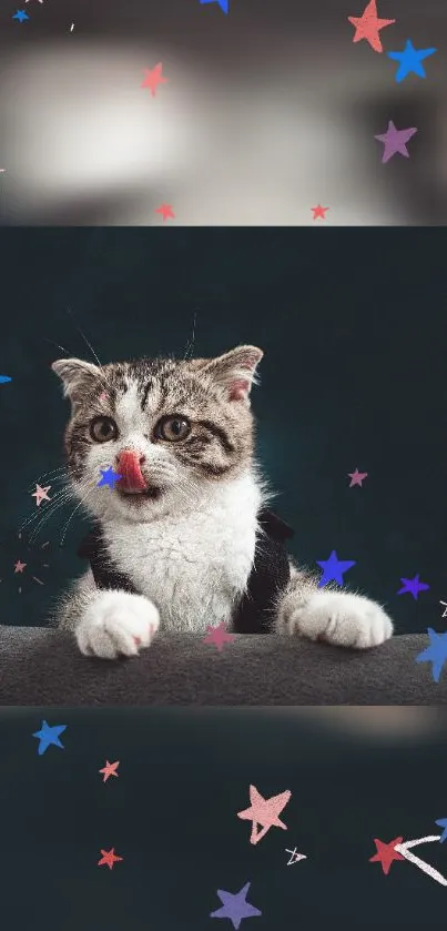 Adorable kitten peeking over edge with colorful stars background.