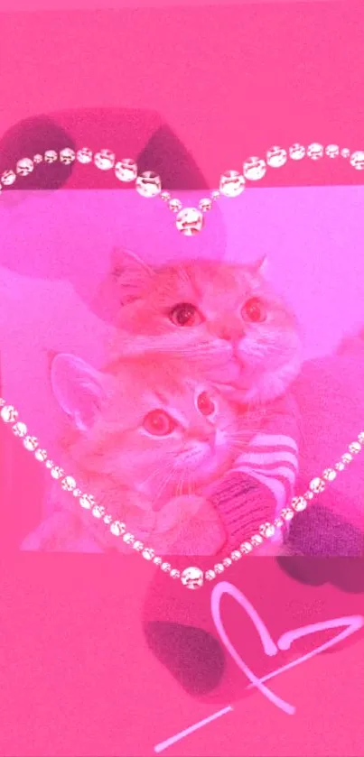 Two adorable cats within a pink-hearted frame on a mobile wallpaper.