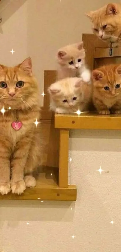 Adorable kittens sitting on a staircase.