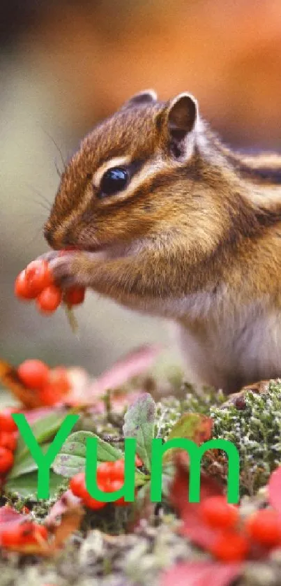 Chipmunk eating berries in nature setting.