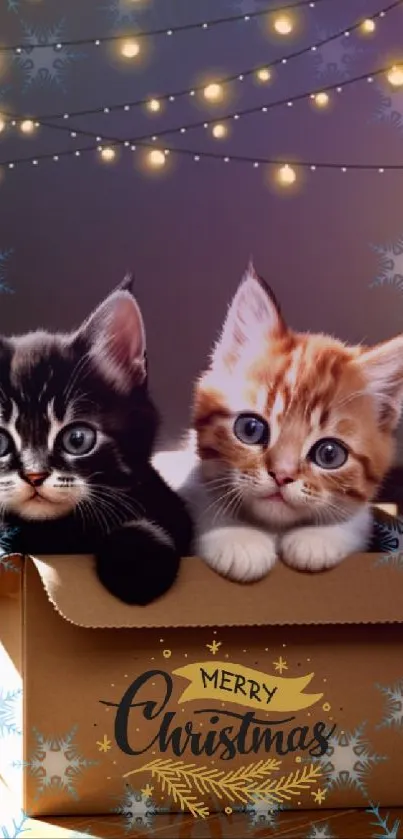 Two kittens in a box with Christmas lights and decorations.