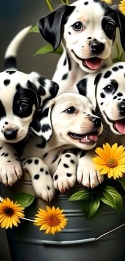 Dalmatian puppies in a bucket with flowers, ideal mobile wallpaper.