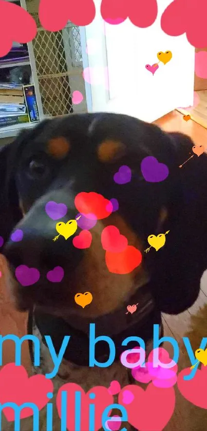 Adorable dog surrounded by pink hearts in a wallpaper.